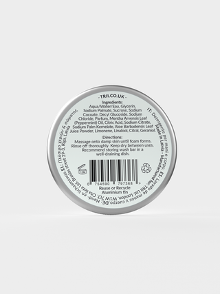 Peppermint Hand & Body Wash